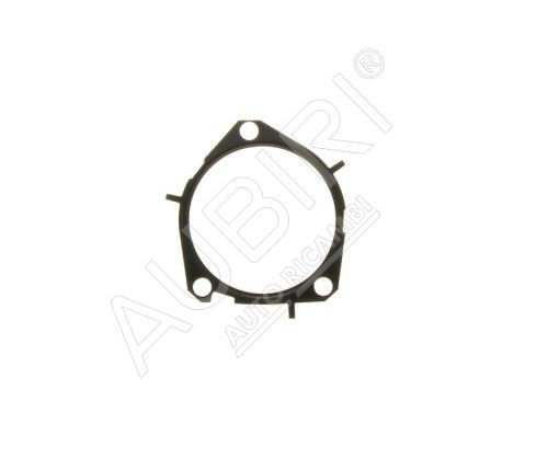 Wasserpumpendichtung Fiat Ducato ab 2021 2.2D