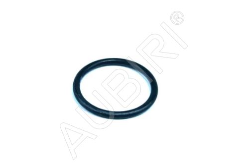 Thermostatdichtung Peugeot Boxer 2.2