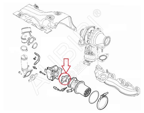 Drosselklappendichtung Fiat Ducato ab 2021 2.2D, Doblo 2016-2021 1.6D