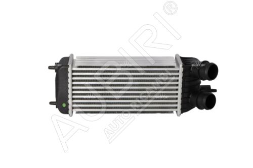 Ladeluftkühler Fiat Scudo 2007-2011 1.6D Euro4