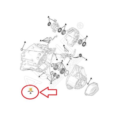 Getriebereparatursatz Citroën Berlingo, Partner ab 2020 - BE4R