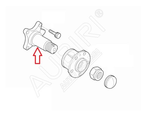 Achsschenkel Fiat Ducato ab 2021 hinten rechts, elektrische Handbremse