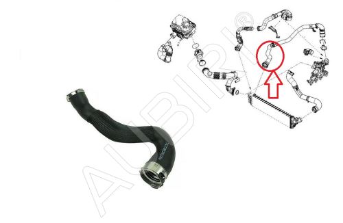 Ladeluftschlauch Renault Master ab 2010 2,3 dCi unten am Kühler