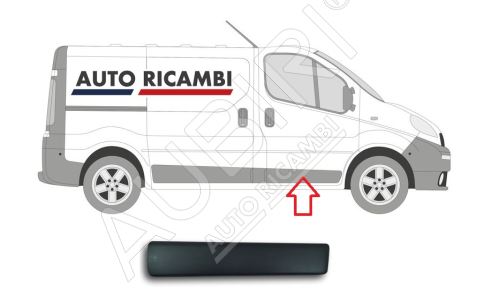 Rammschutzleiste Renault Trafic ab 2001 rechts, Haustür