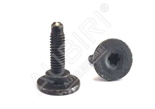 Schraube Torx T-30 M6 Fiat Ducato ab Bj. 2002 für Frontstossstange