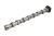 Nockenwelle Einlass Peugeot Boxer, Jumper ab 2016 2.0/2.2 BlueHDI
