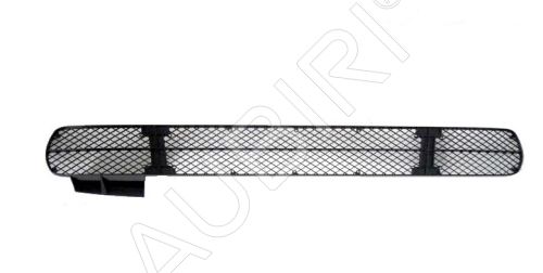 Stossfängergitter Fiat Ducato 2002-2006