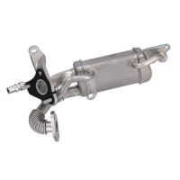 Kühler AGR-Ventil Renault Kangoo 2008-2016 1,5 dCi