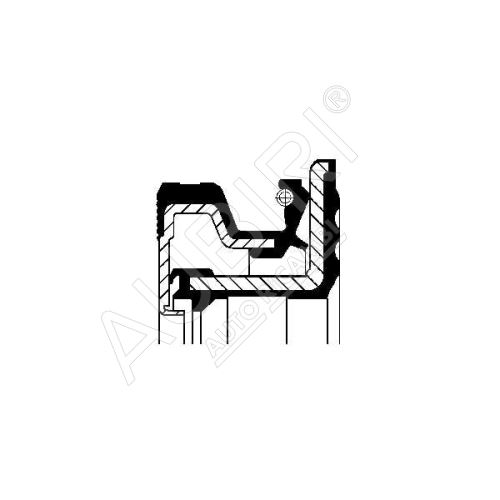 Wellendichtring, Differential Iveco Daily ab 2000 35C/50C