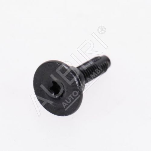 Schraube Torx T-30 M6 Fiat Ducato ab Bj. 2014 für Frontstossstange