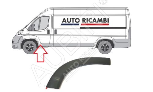 Rammschutzleiste Fiat Ducato ab 2006 links, Türleiste