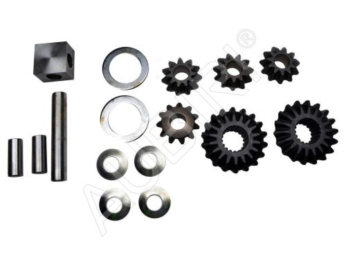 Reparatursatz für Differential Iveco Daily 35C
