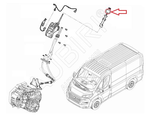 Schaltknauf Fiat Ducato ab 2021 2.2D