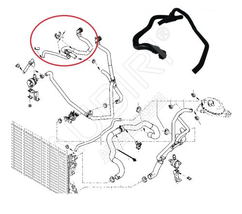 Wasserschlauch Renault Master ab 2010 2.3 dCi, Heckantrieb