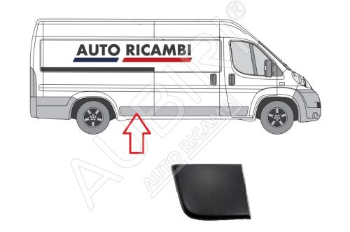 Rammschutzleiste Fiat Ducato ab 2006 rechts, vor dem Hinterrad