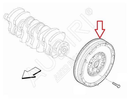 Schwungrad Fiat Ducato ab 2021 2.2D