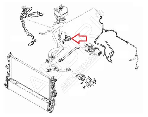 Wasserpumpe, Hilfspumpe Fiat Ducato ab 2021 2.2D