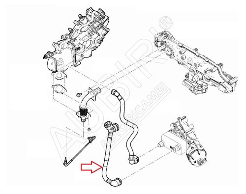 Rohr zum AGR-Ventil Fiat Ducato ab 2021 2.2D