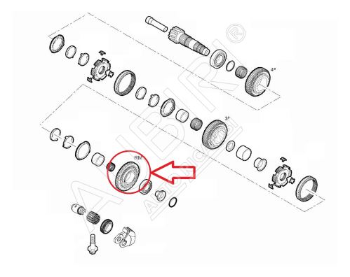 Rückwärtsgangrad Fiat Ducato ab 2021 2.2D, Doblo 2010-2022 - 11/44 Zähne