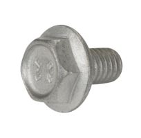 Schraube des Bremsscheiben-Ankerblechs Iveco Daily ab 2006 M6x10mm