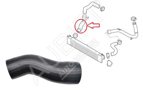 Ladeluftschlauch Fiat Ducato ab 2006 vom Ladeluftkü. zur Drosselkl., Solo-Schlauch