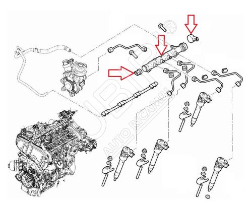 Verteilerrohr, Kraftstoff Fiat Ducato ab 2021 2.2D