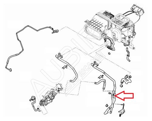 Heizungsschlauch Fiat Ducato ab 2021 2.2D