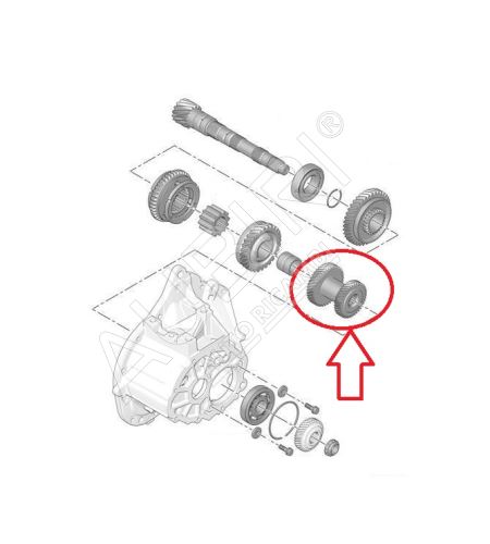 Getriebezahnrad 3/4. Gang Citroën Berlingo, Partner ab 2008, 31x40/41x39 Zähne