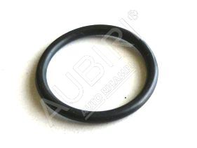 Dichtung der Ölablassschraube for Iveco Daily ab 2000, Fiat Ducato ab 2002 2.62x23.47 mm