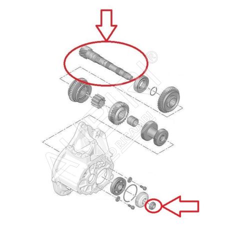 Getriebewelle Citroën Berlingo, Partner ab 2018 Vorgelegewelle, 17/71 Zähne