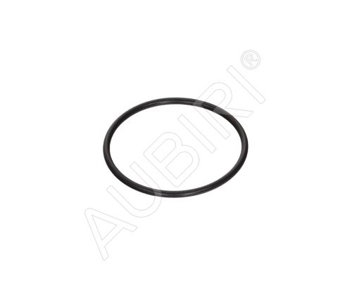 Dichtung für Einspritzpumpe Renault Master IV ab 2024 2.0D - 45x2,45 mm
