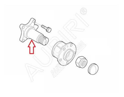 Achsschenkel Fiat Ducato ab 2021 hinten links, elektrische Handbremse