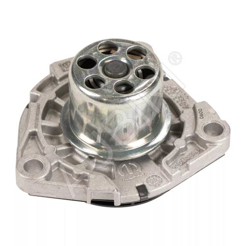 Wasserpumpe Fiat Ducato ab 2021 2.2D