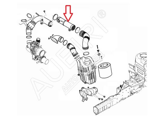 Ansaugschlauch Fiat Ducato ab 2021 2.2D vom Filter zum Turbolader