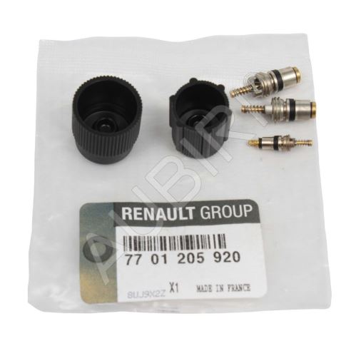 Klimaventilsatz Renault Kangoo 1997-2008, Master 1998-2010