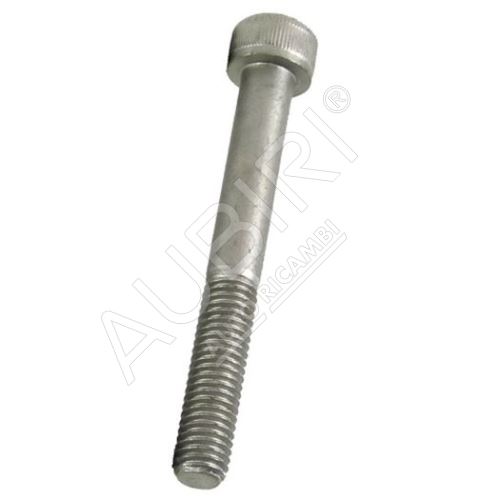 Schraube M6x65mm Fiat Ducato 250