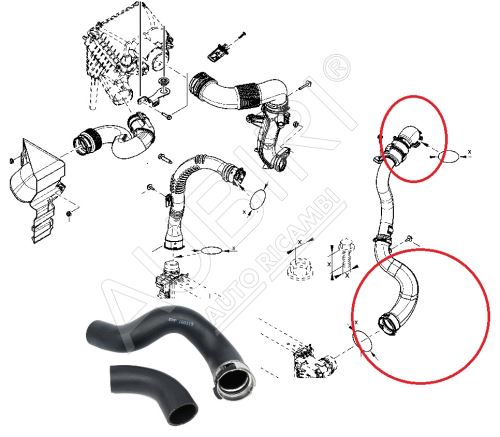 Ladeluftschlauch Renault Trafic 2014-2019 1.6 vom Turbolader zur Ladeluftkü., Satz