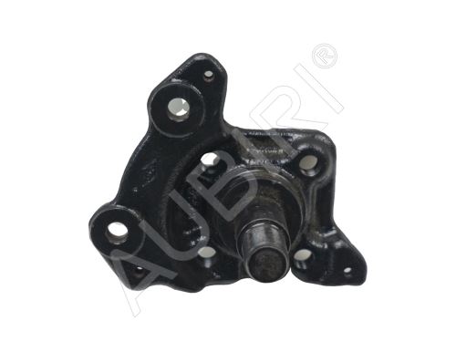 Achsschenkel Renault Kangoo 2008-2021 hinten, rechts