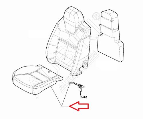 Sitzpolster, Schaumstoffpolster Fiat Ducato ab 2021