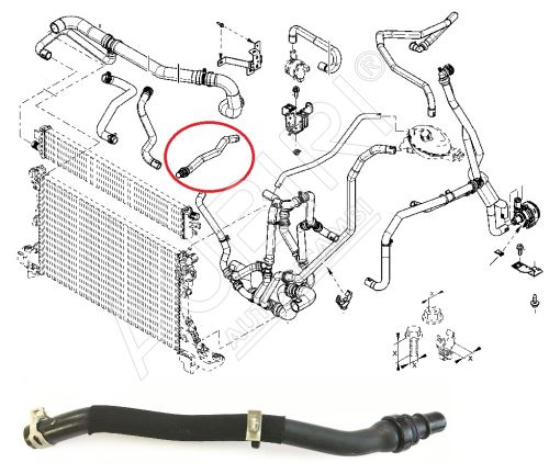 Wasserkühlerschlauch Renault Master 2010- 2.3 Dci