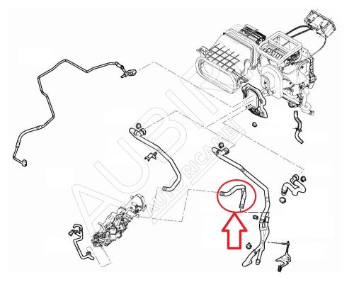 Heizungsschlauch Fiat Ducato ab 2021 2.2D