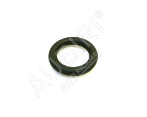 Dichtung des AGR-Ventils Iveco Daily 3.0 euro4 O-Ring