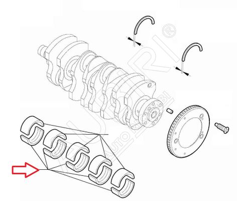 Hauptlagerschalen Rotstärke 1,832-1,836 Fiat Ducato ab 2021 2.2D untere