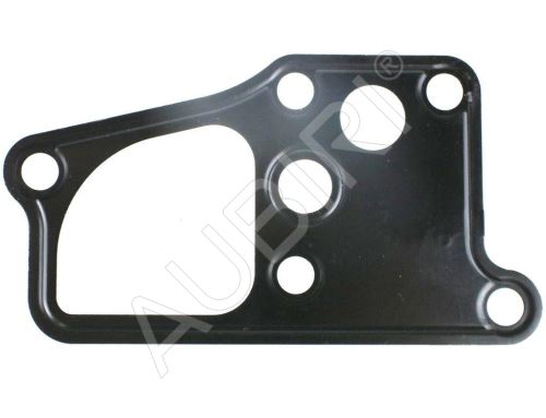 Kraftstoffpumpendichtung Iveco TurboDaily