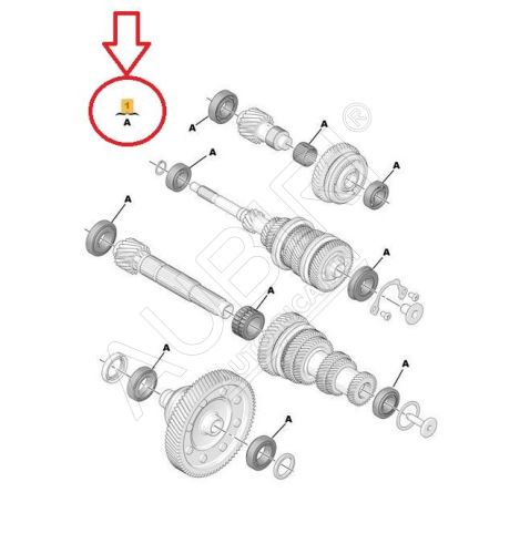 MC Getriebelager-Reparatursatz Citroën Jumpy, Expert ab 2016