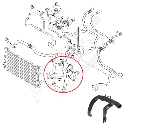 Wasserkühlerschlauch Renault Master 2003-2010 2.5 dCi