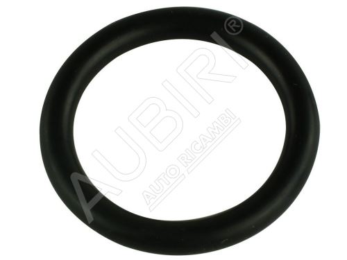 O-Ring für Wasserpumperohr Iveco Daily 2.3