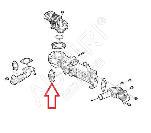 AGR-Kühlerdichtung Iveco Daily ab 2022 2.3D