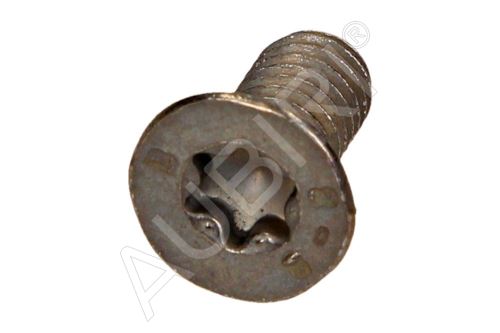 Bremsscheiben-Zentrierschraube Citroën Jumpy, Expert ab 1995- 6x100-14 mm