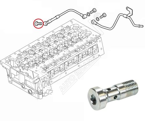 Hohlschraube Fiat Ducato seit 2006 Ölversorgung des Turbos